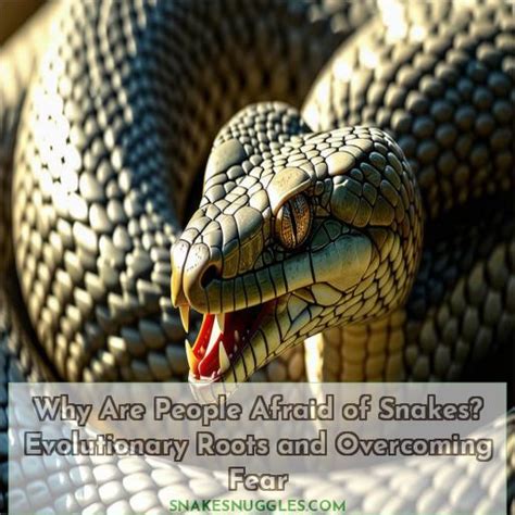 What makes people afraid of snakes? : r/snakes - reddit