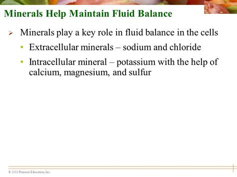 What minerals help regulate fluid balance