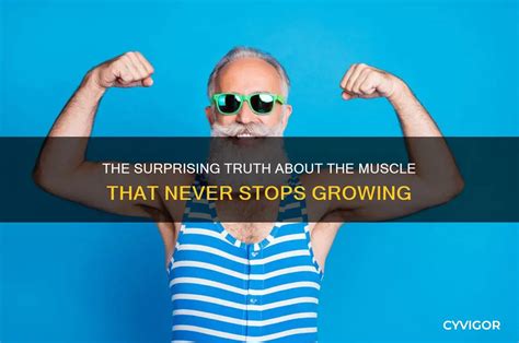 What muscle never stops