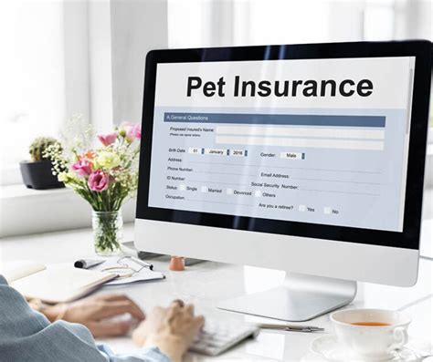 What pet insurance does banfield accept. Things To Know About What pet insurance does banfield accept. 