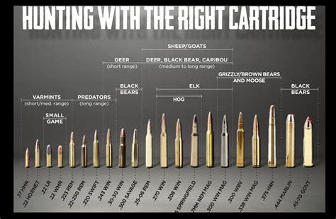 What pistols can you hunt with in Michigan? - Good hunting