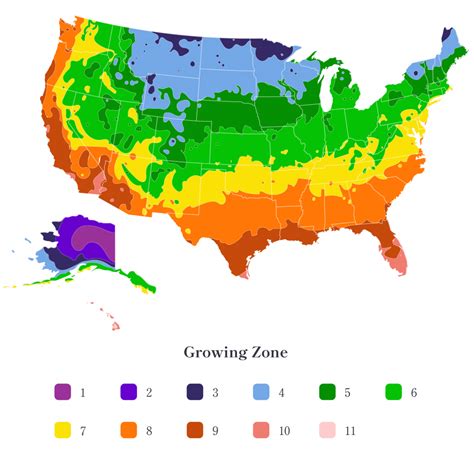 What plant zone am i in. Gardening is not just a hobby; it’s a passion that brings immense joy and satisfaction. But if you want your garden to thrive, it’s crucial to understand the concept of planting zo... 