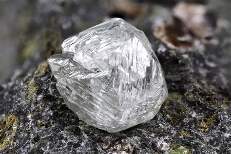 The diamonds are found in a kiberlite whi