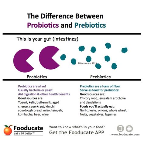What s the Difference Between Prebiotics and Probiotics 