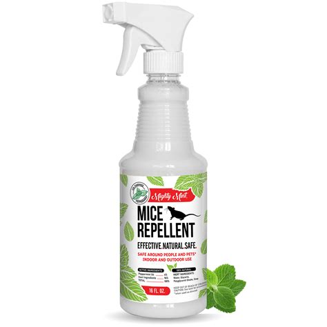 What scents repel mice. Eucalyptus essential oils. Use ten drops of eucalyptus oil for 3oz of water. Spray the mixture around the infested areas or corners and crevices where cockroaches tend to hide. It is an excellent natural remedy that will evict them in no time. Use sparingly around cockroach entry points too. 