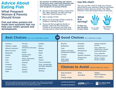 What seafood should i avoid while pregnant