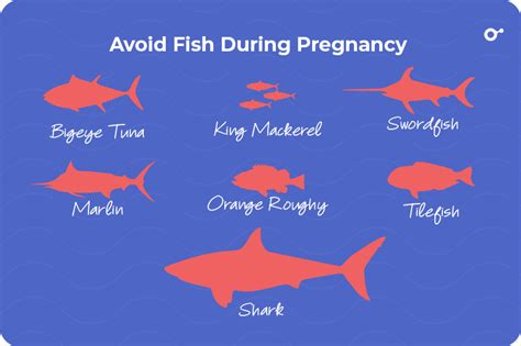 What seafood should you avoid when pregnant