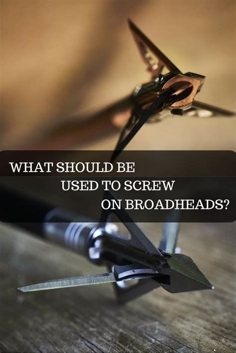 What should be used to screw on broadheads hunters ed. Dress game with great caution until you find all parts of the broad head is statement about broad heads is true. Thus, option (a) is correct.Broad heads are highly sharp, and it is critical to handle them with caution to avoid injury.It is advisable to use a wrench to tighten the broad head on an arrow and to use a device that conceals the blades while tightening the broad head on an arrow. 