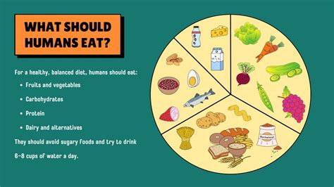 What should humans eat