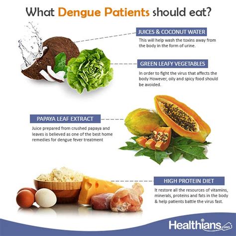 What should we eat in dengue