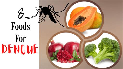 What should we eat to cure dengue