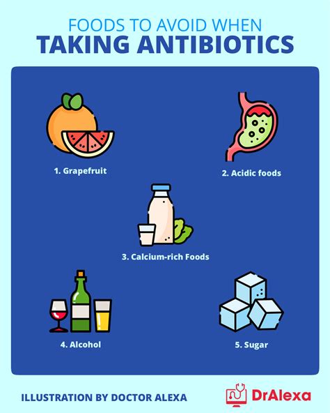 What should you eat and avoid while taking antibiotics The …