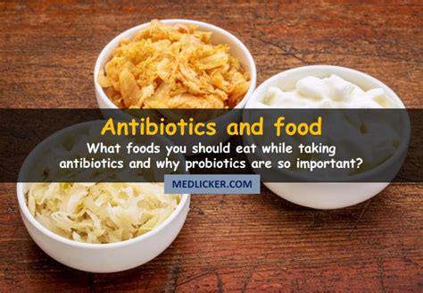What should you eat while taking antibiotics