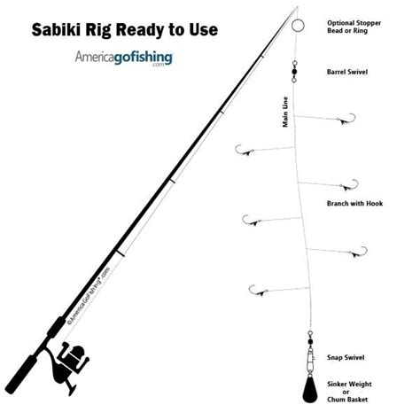 What size sabiki rig for herring. .  <a href=https://crm.wisedigitalpartners.com/as...