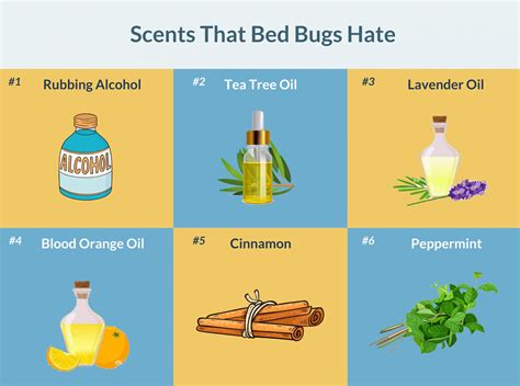 What smells do bed bugs hate. May 26, 2022 · In short, all essential oils that have a pungent smell repel bed bugs. These include tea tree, blood orange, peppermint, lavender, cinnamon, eucalyptus, and neem oils. The latter not only repels insects but also slows down their development, contributing to the colony’s death. 