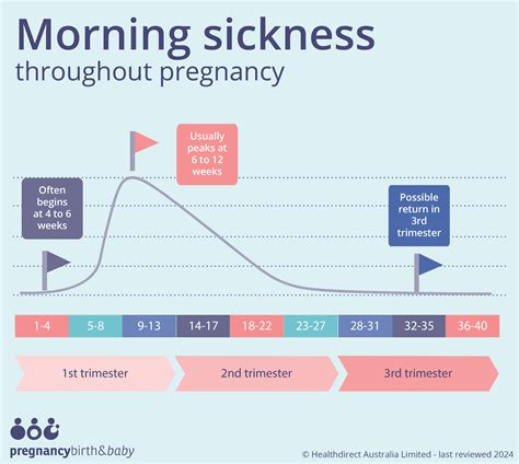 What stage does morning sickness stop