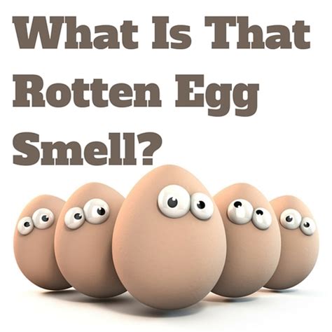 What std smells like rotten eggs. Things To Know About What std smells like rotten eggs. 