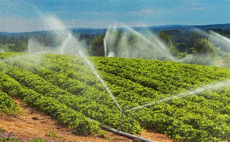 What technology conserves water