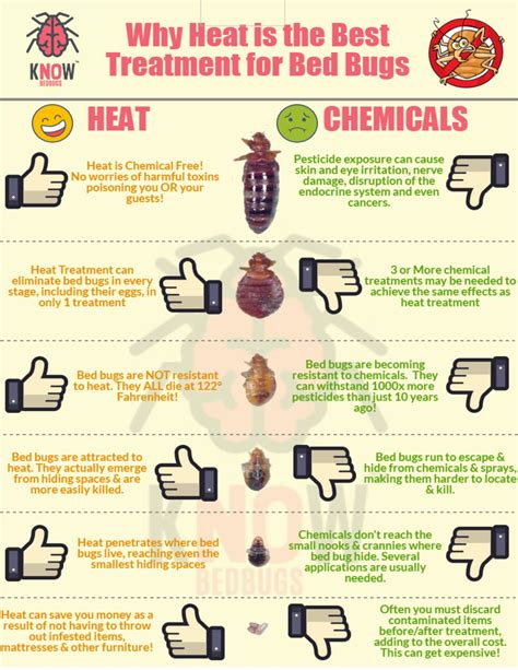 What temp kills bed bugs. 