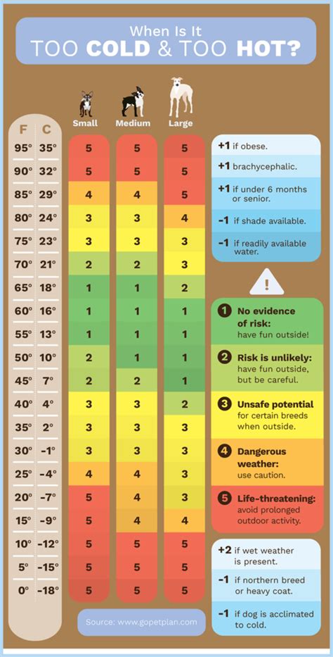 What temperature is ok for dogs to sleep outside. A chart that explains how cold is cold hot for dogs to be outside. Use caution when the temperature drops below 45 degrees Fahrenheit (around 7 degrees Celsius). It’s potentially unsafe for little-or-medium-sized dogs with thin coats to be outside, but big dogs with heavier coats are probably OK. 