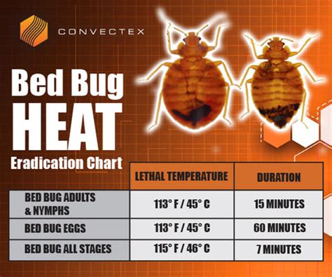 What temperature kills bed bugs. Learn how to kill bed bugs with extreme temperatures, such as high or low, or steam. Find out the temperature thresholds, durations, and methods for different stages of bed bugs and eggs. See a temperature chart with recommended temperatures for killing bed bugs and their eggs. See more 