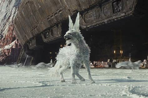 What the crystal foxes are in Star Wars: The Last Jedi