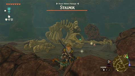 "The mere remains of what was once a giant monster known as a Hinox. These skeletal beasts appear at nighttime. Much like their living counterparts, the Stalnox will tear entire trees from the ground to use as weapons. Furthermore, even if it appears defeated at first, it will keep coming back for more as long as its eye is left intact." — Hyrule Compendium description Stalnox are mini .... 