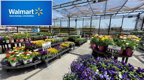 What time does walmart garden center close. Find everything you need to grow your garden and beautify your lawn at your local Walmart Garden Centre. Shop lawncare gear, watering supplies, garden tools, and more at great low prices. Plus, get your spring seeds, bulbs, and soil! You’ll find tons of outdoor living ideas at your Walmart Garden Centre. Telephone 905-687-9212 