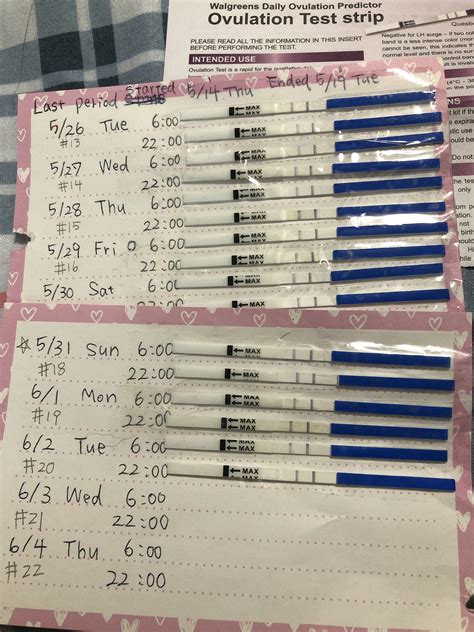 What time should you take ovulation test