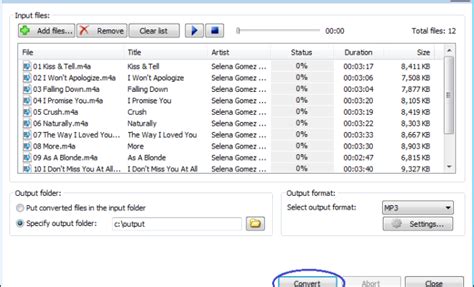 What to Consider Before Converting to MP3