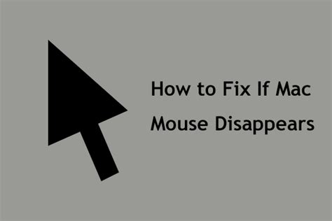 What to Do If Your Mouse Disappears on Mac? Try Some …