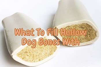 What to Fill Hollow Dog Bones With - Your Pet Shop