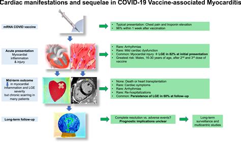 What to Know About Myocarditis and COVID 19 Vaccines
