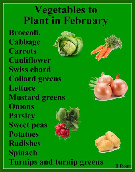 What to Plant in February - 15 Plants That Grow in …