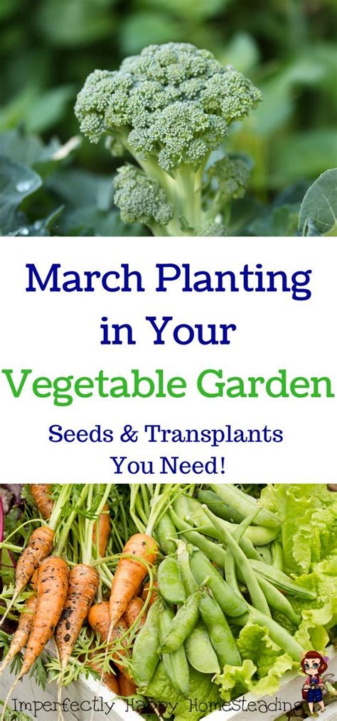 What to Plant in March - Seeds and Transplants for …