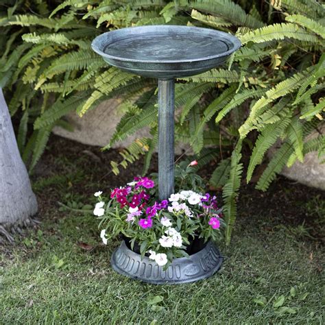 What to Plant in Shallow Bird Bath? - Bird Bath …