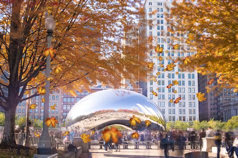 What to do in chicago in november