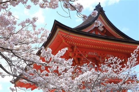 What to do in kyoto in april