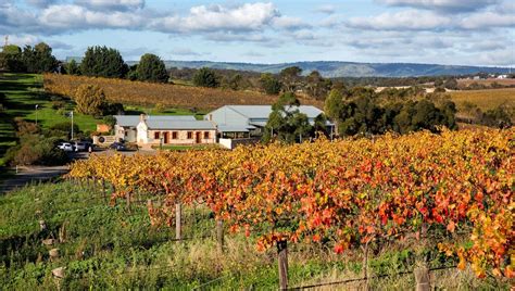 What to do in mclaren vale