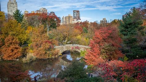 What to do in nyc in october