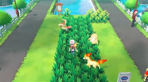 What to do in pokemon lets go