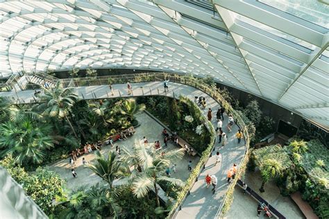 What to do in singapore in may