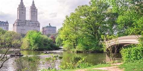 What to do in upper east side