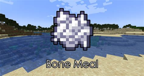 What to do with bonemeal in minecraft