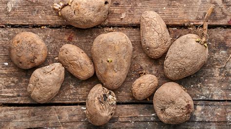 What to do with wrinkled potatoes. .  ...