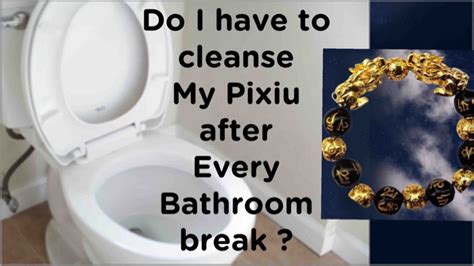 What to do with your Pixiu when visiting the toilet?