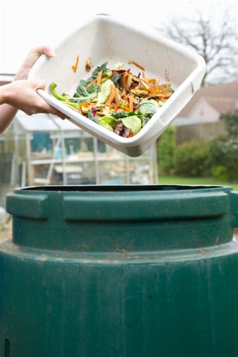 What to do with your food scraps post-Thanksgiving in San Diego