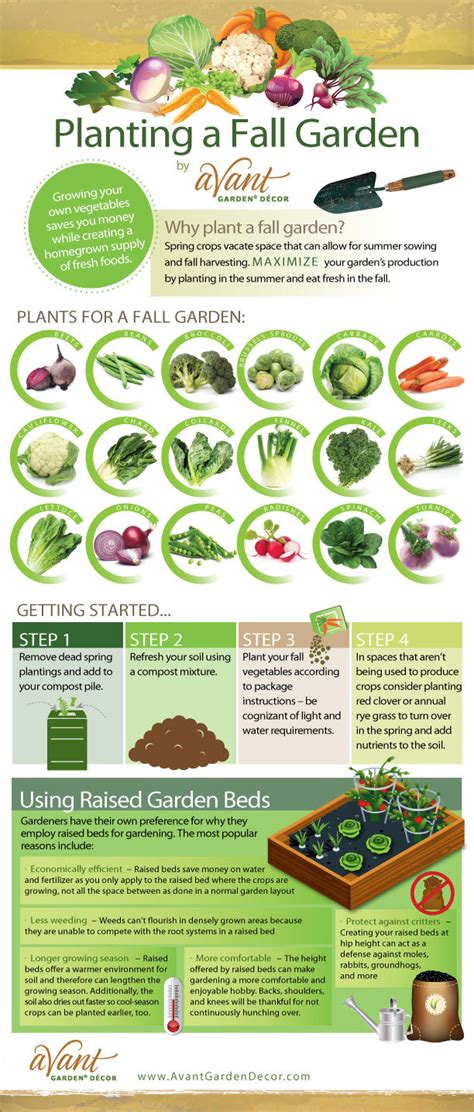 What to grow in fall garden