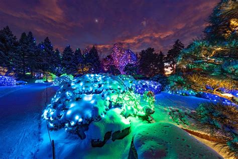 What to know about lights at Denver Botanic Gardens in 2023