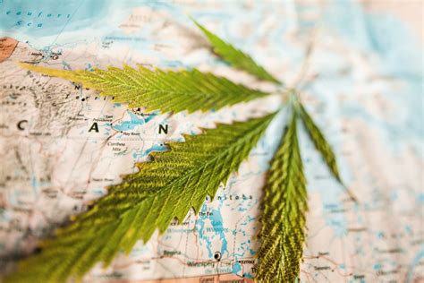 What to know about traveling with cannabis